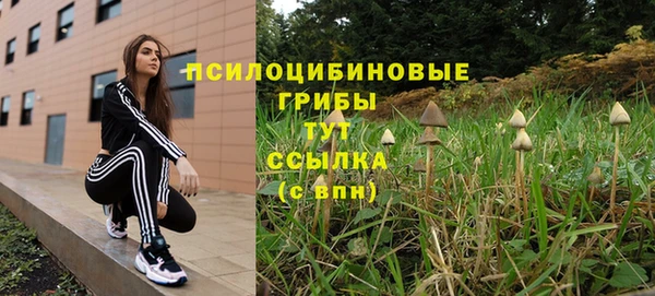 твердый Вязьма