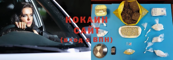 шишки Алексин
