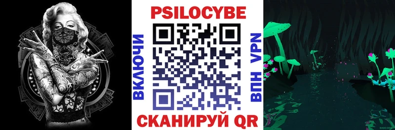 Псилоцибиновые грибы мицелий  KRAKEN вход  Павловская  купить наркотик 